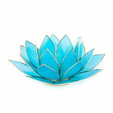 lotusbleu